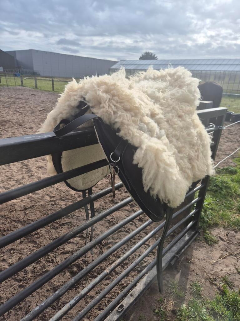 Ghost Cavallin Mandriana te koop, Ophalen of Verzenden, Zo goed als nieuw, Overige soorten