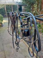 Nieuw concourstuig tuigpaard, hackney, Dieren en Toebehoren, Paarden en Pony's | Hoofdstellen en Tuigage, Ophalen, Nieuw, Overige soorten