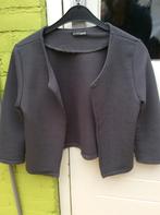 Jasje s grijs ribbelstof, Ophalen of Verzenden, Zo goed als nieuw, Grijs