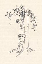 Hildebrand - Camera obscura (1949), Ophalen of Verzenden, Zo goed als nieuw