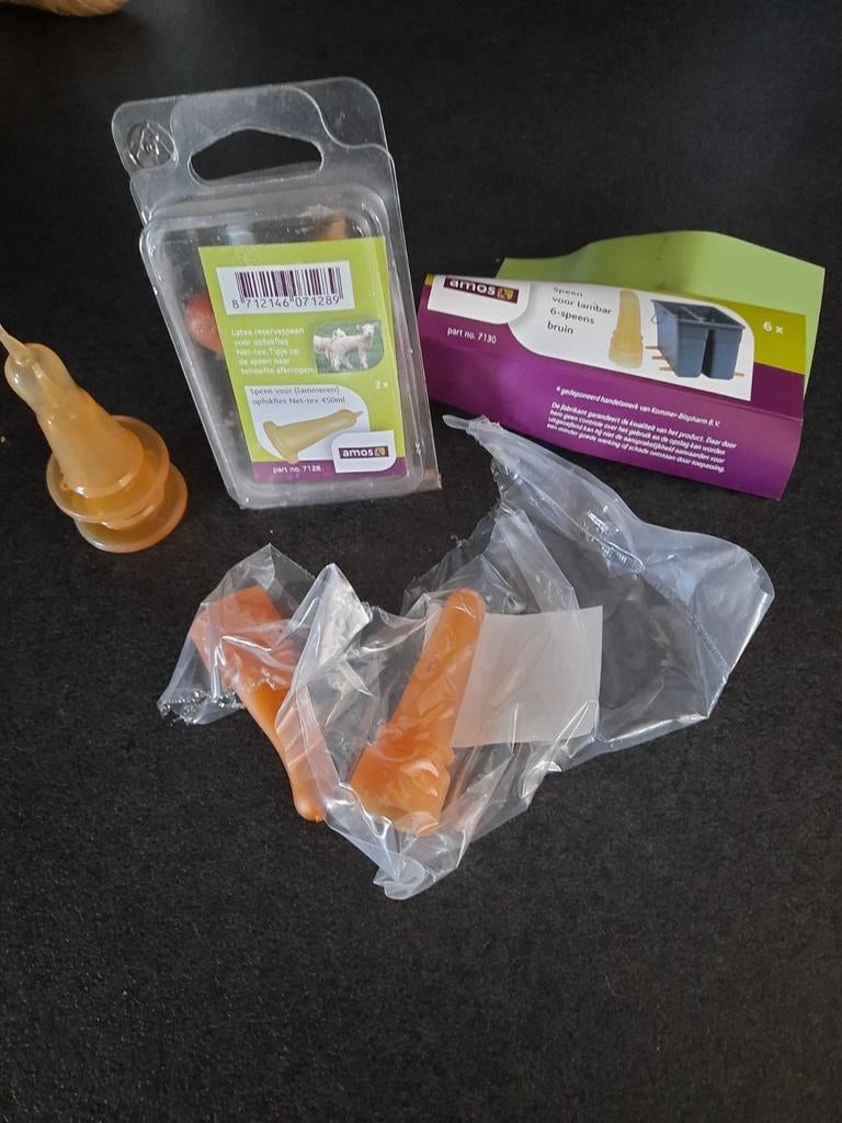 Lammeren speenen, Meerdere dieren, Schaap