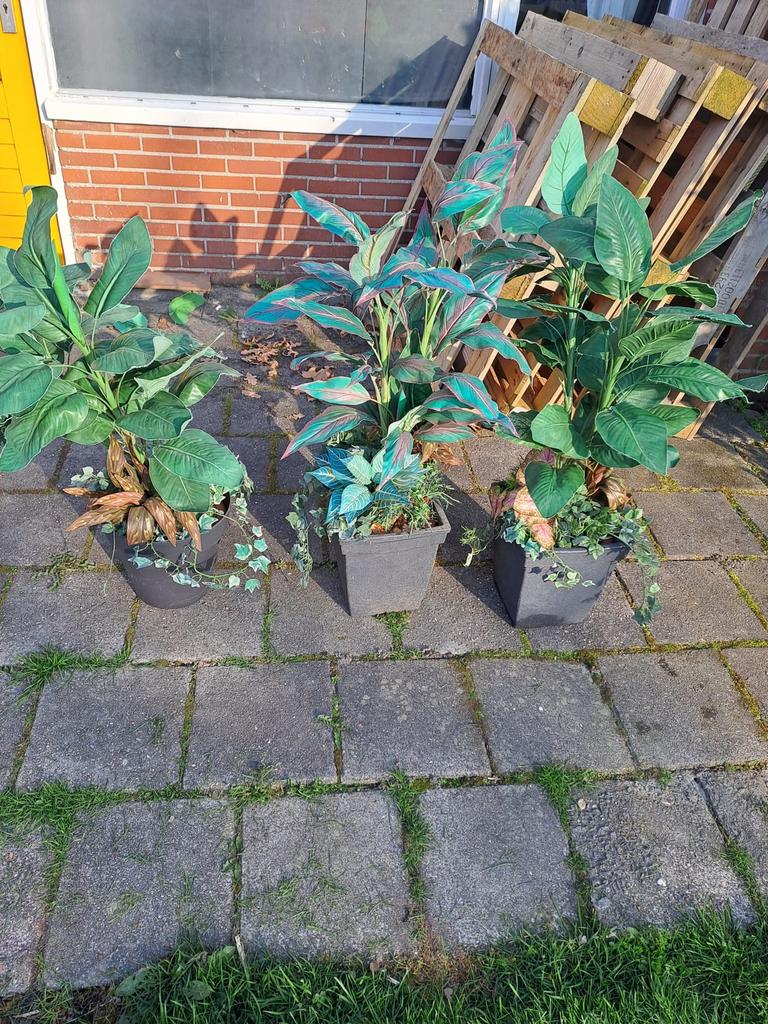 Kunstplanten, Tuin en Terras, Ophalen, Overige soorten, Volle zon