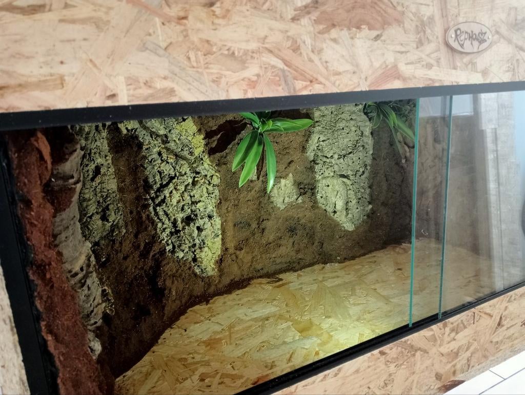 Osb terrarium RepHouSZ. 80/50/50 met zijn / achterwand, Ophalen, Nieuw, Terrarium of Paludarium
