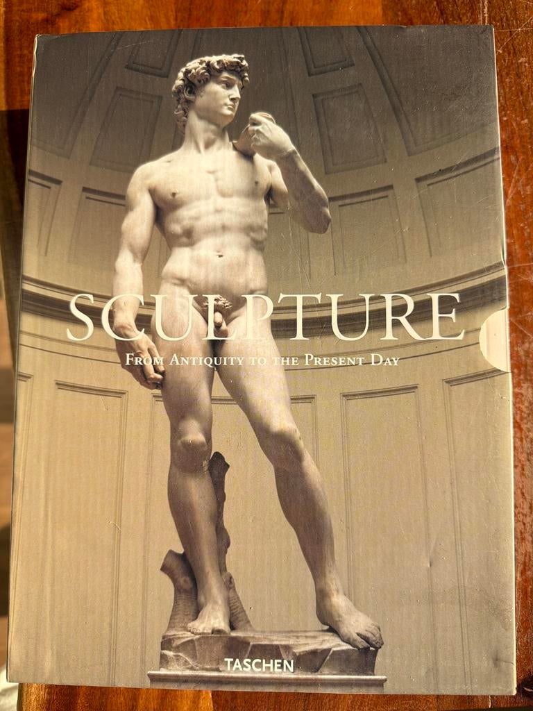 Sculptuur: Van Oudheid tot Heden - Taschen Boek, Boeken, Ophalen of Verzenden, Gelezen, Overige onderwerpen