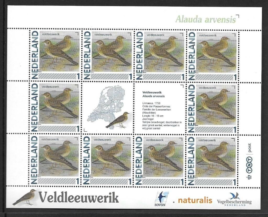 Vel persoonlijke zegels, Vogels Veldleeuwerik postfris, Ophalen of Verzenden, Postfris