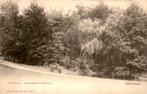Hilversum Heidepark- Soestdijkerstraatweg # 453, Verzenden, Voor 1920, Ongelopen, Noord-Holland