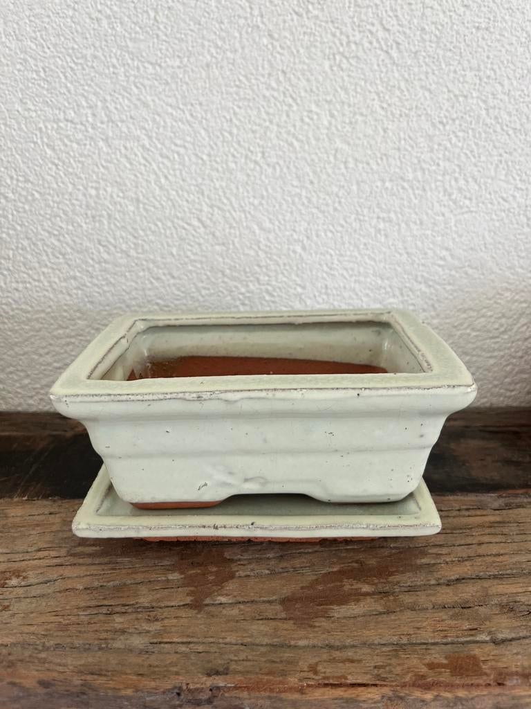 Bonsai bakje, Ophalen of Verzenden, Zo goed als nieuw, Aardewerk, Minder dan 40 cm