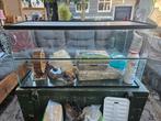Terrarium/gerbillarium 100x40x50, Dieren en Toebehoren, Zo goed als nieuw, Hok, 75 tot 110 cm, Ophalen