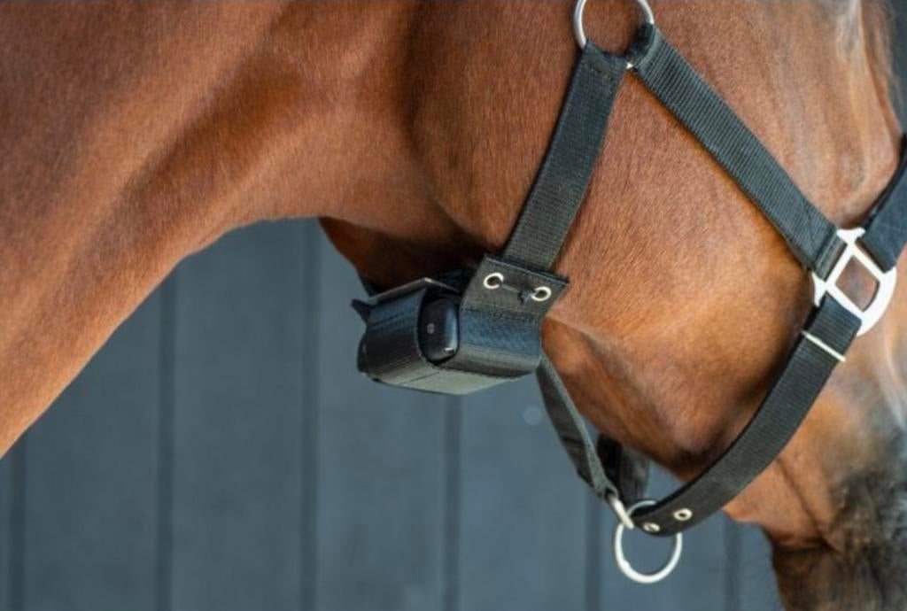 Te huur birth alarm, Ophalen of Verzenden, Zo goed als nieuw