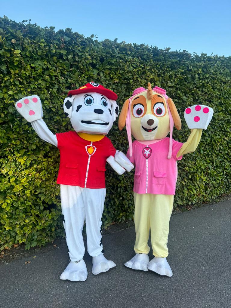 Paw Patrol Mascotte Kostuums- kinderhelden, Ophalen, Zo goed als nieuw, Pak of Jurk