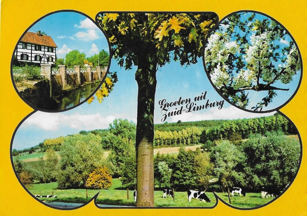 Zuid limburg gelopen ansichtkaart ( a617 ), Verzenden, 1980 tot heden, Gelopen, Limburg