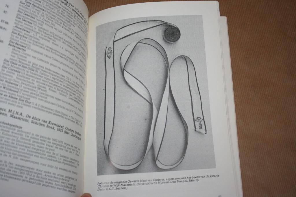 Volksgeneeskunde in Limburg Een bibliografie, Boeken, Ophalen of Verzenden, Gelezen