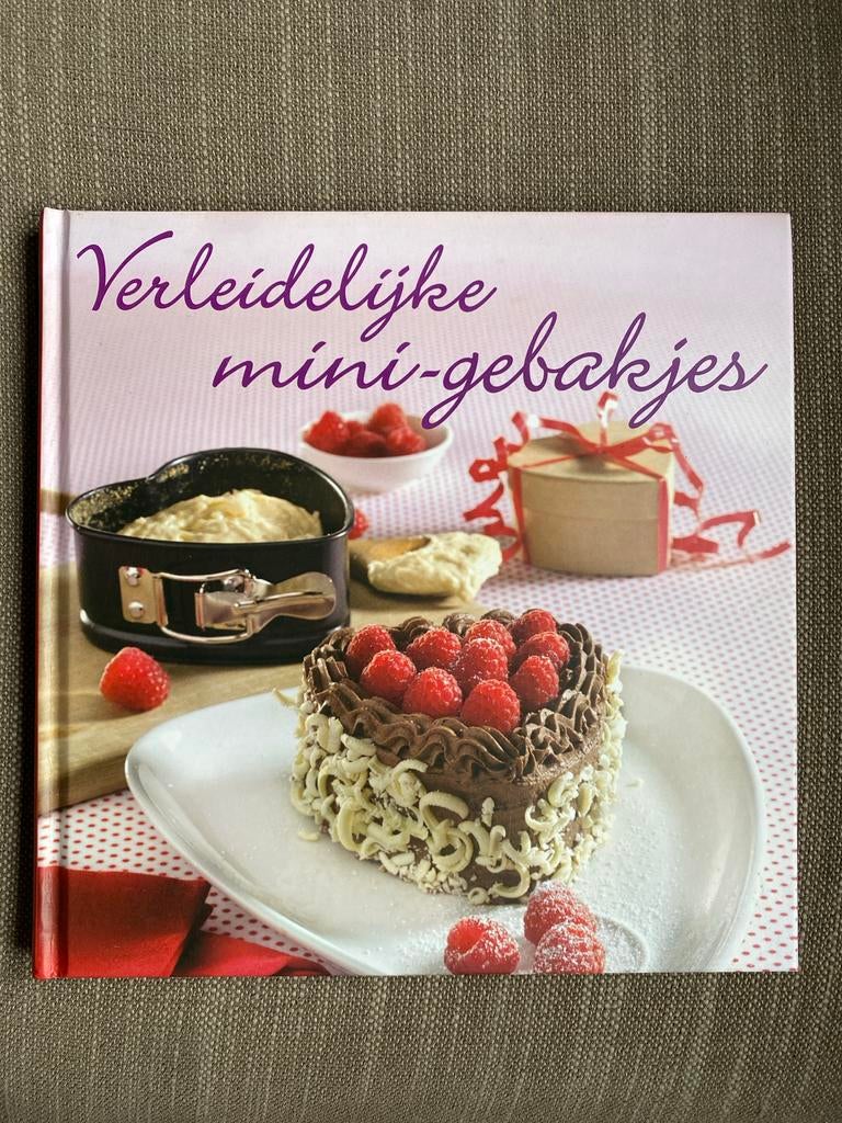 Verleidelijke mini-gebakjes kookboek, Ophalen of Verzenden, Zo goed als nieuw, Overige gebieden, Taart, Gebak en Desserts
