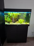 Juwel rio 125 aquarium + helialux smart control, Dieren en Toebehoren, Vissen | Aquaria en Toebehoren, Ophalen, Zo goed als nieuw