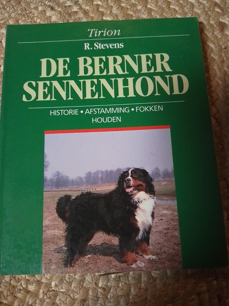 De Berner Sennenhond - R. Stevens, Ophalen of Verzenden