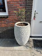 Bloempot, Ophalen, Kunststof, Rond, Zo goed als nieuw