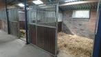 Plaats vrij op kleinschalige stalling nabij Made, Dieren en Toebehoren, Stalling en Weidegang, Stalling, 1 paard of pony