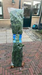 Klimop kunsthaag - nieuw, Tuin en Terras, Ophalen, Nieuw
