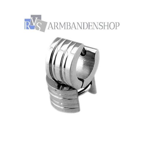 oorbellen rvs oorbellen studs van gepolijst RVS zilver, Sieraden, Tassen en Uiterlijk, Oorbellen, Nieuw, Knopjes of Stekers, Overige materialen