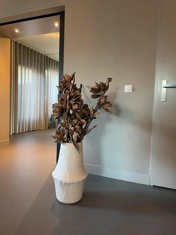 Penca sororoca droog takken groot beschikbaar voor biedingen