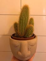 Bloempot met gezicht Incl gratis cactus, Ophalen of Verzenden