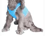 Koelvest hond maat xs, Ophalen of Verzenden, Nieuw