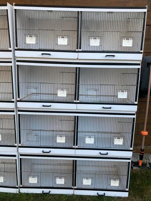 Broedkooien bakker, Dieren en Toebehoren, Vogels | Hokken en Kooien, Gebruikt, Broedkooi of Kweekkooi, Kunststof, Ophalen