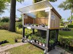 TUINPLANTEN+KAMERPLANTEN AAN DE WEG TE KOOP️!!, Ophalen, Zomer, Overige soorten, Volle zon