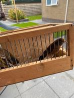 Bastaard putter, Dieren en Toebehoren, Ophalen of Verzenden, Zo goed als nieuw, Metaal, Vogelkooi