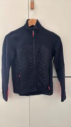 Paardrijjasje - maat 152, Ophalen of Verzenden, Gebruikt, Overige soorten, Bovenkleding