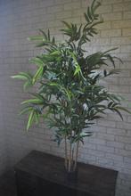 Kunstplant, Ophalen, Gebruikt, Binnen