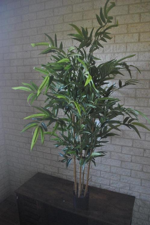 Kunstplant, Huis en Inrichting, Woonaccessoires | Kunstplanten en Kunstbloemen, Gebruikt, Binnen, Ophalen