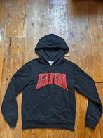 Combideal! 2 XS Iceberg truien, Kleding | Heren, Ophalen of Verzenden, Zo goed als nieuw, Maat 46 (S) of kleiner