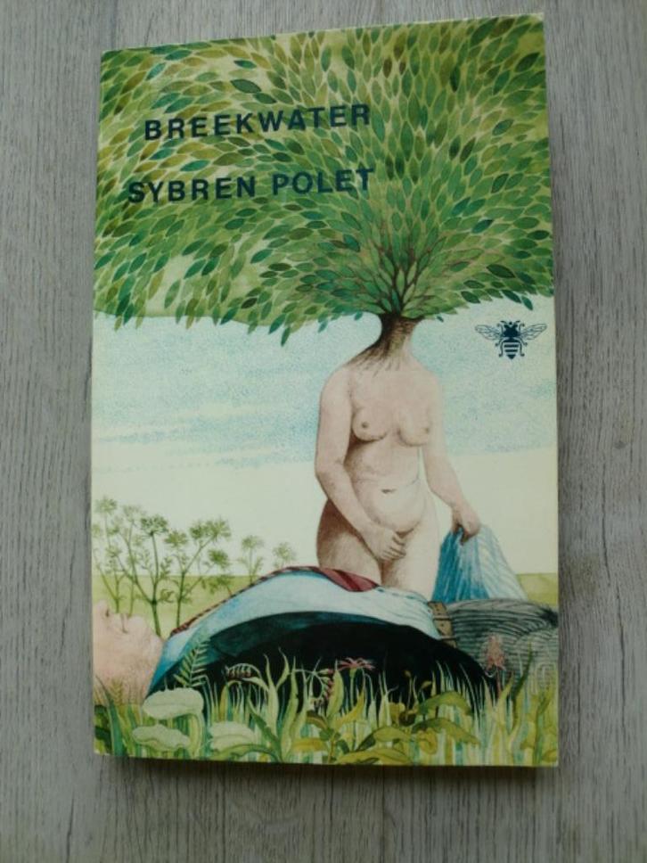 Sybren Polet - Breekwater, Boeken, Literatuur, Nieuw, Nederland, Ophalen of Verzenden