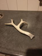 Herten gewei, Verzamelen, Ophalen of Verzenden