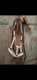 Halsterset felix buhler, Ophalen of Verzenden, Nieuw, Overige soorten