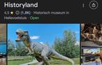 Kaartjes voor dinoland, Tickets en Kaartjes, Recreatie | Pretparken en Attractieparken, Drie personen of meer, Ticket of Toegangskaart