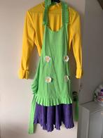 Kabouter kwebbel pak ( kabouter plop serie), Maat 38/40 (M), Carnaval, Ophalen of Verzenden, Zo goed als nieuw