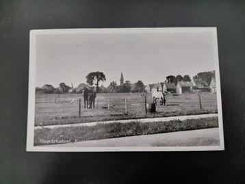 Hippolytushoef, Kogerweg, weiland met paarden, ongelopen. beschikbaar voor biedingen
