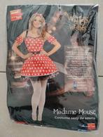 Minnie mouse carnaval/halloween kostuum, Carnaval, Ophalen of Verzenden, Zo goed als nieuw, Kleding