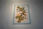 Schilderij Op Zijde Vogels, Minder dan 50 cm, Ophalen of Verzenden, Zo goed als nieuw, Schilderij