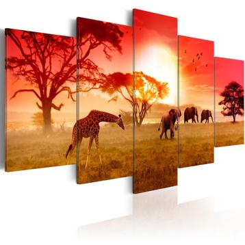220 Afrika Giraffe Olifant 5 Luik Canvas Schilderij 200x100 beschikbaar voor biedingen