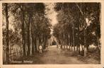 Nederlands Indië - Makassar Telloweg, Ophalen of Verzenden, Voor 1920, Gelopen
