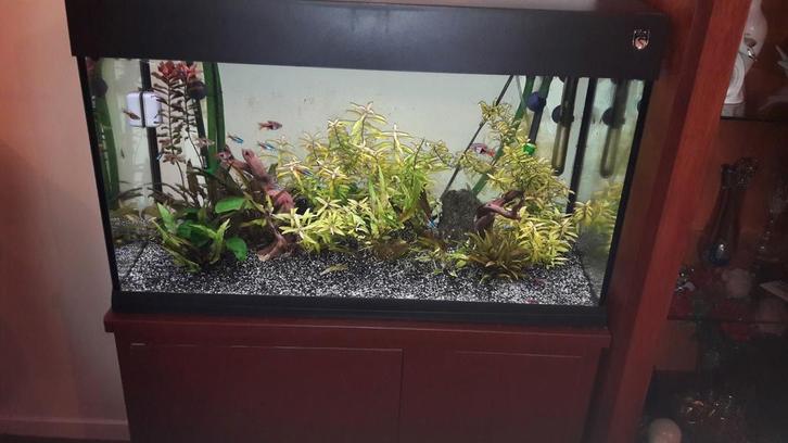 Aquarium : Trofis 125 liter zwart, Dieren en Toebehoren, Vissen | Aquaria en Toebehoren, Gebruikt, Leeg aquarium, Ophalen