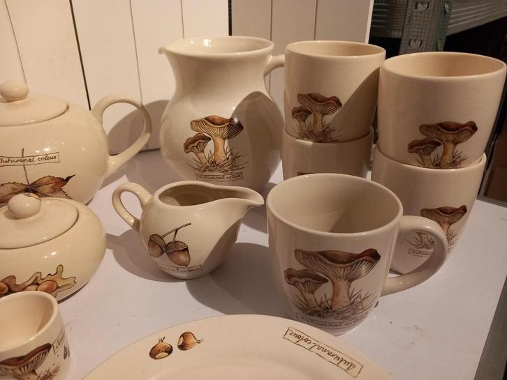 Jet servies Autumnal colour., Huis en Inrichting, Keuken | Servies, Zo goed als nieuw, Overige typen, Overige stijlen, Porselein