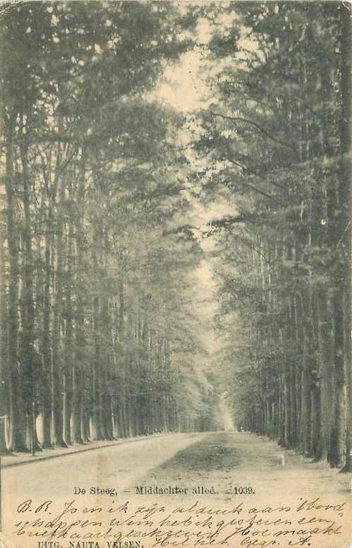 (377-647-025) De Steeg Middachterallee, Verzamelen, Ansichtkaarten | Nederland, Gelderland, Verzenden