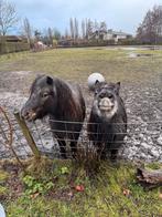 Gezocht: zand/aarde/houtsnippers, Tuin en Terras, Zand, Ophalen, Gebruikt, Overige typen