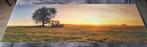Foto op plexiglas 180 x 60 cm. Panorama / schilderij, Ophalen, 125 cm of meer, Zo goed als nieuw, Foto of Poster