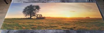 Foto op plexiglas 180 x 60 cm. Panorama / schilderij beschikbaar voor biedingen