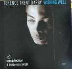 TERENCE TRENT D'ARBY "Wishing well" vinyl 12", Gebruikt, Ophalen of Verzenden